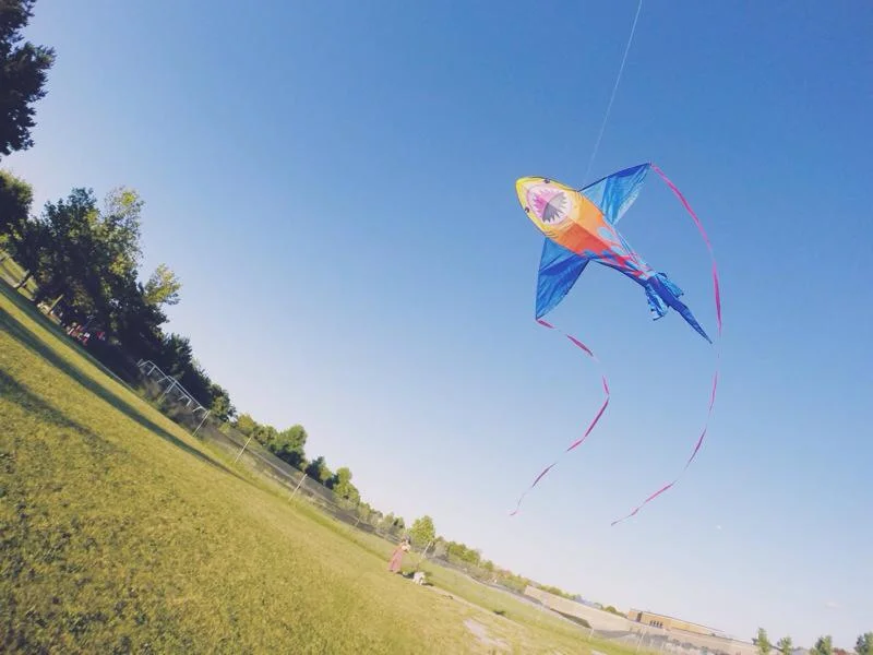 Kite 2014 2.jpg