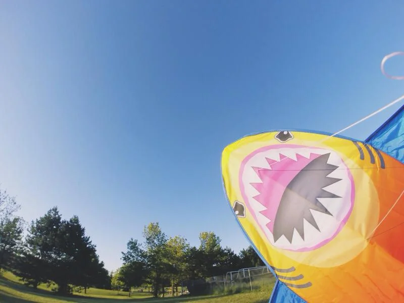 Have You Ever Wanted to Fly a Kite?