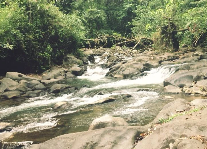 Free Natural Hot Spring in La Fortuna