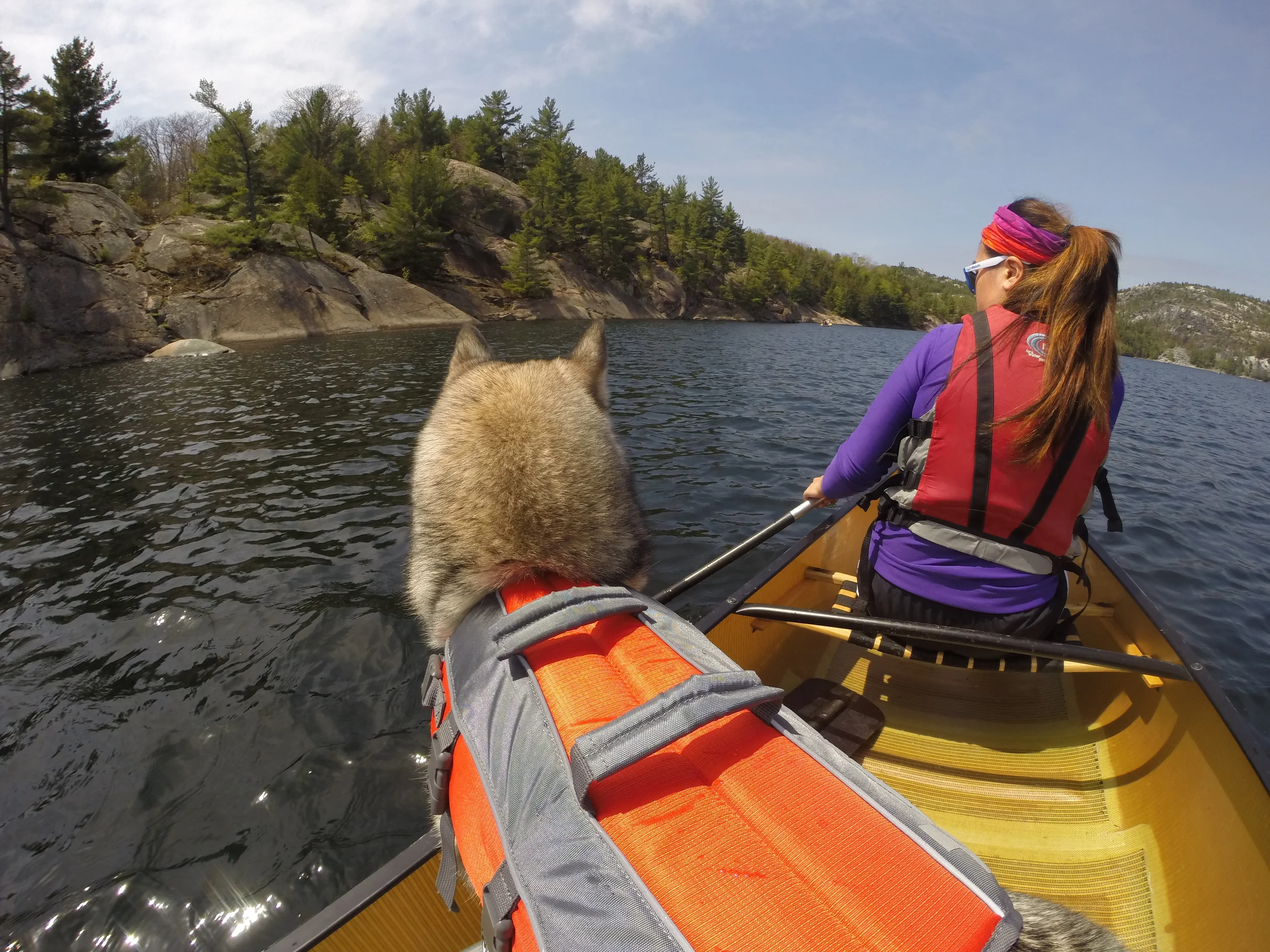 8 Steps on How To Canoe: Killarney Provincial Park Edition
