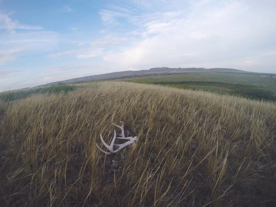 Grasslands National Park in Saskatchewan
