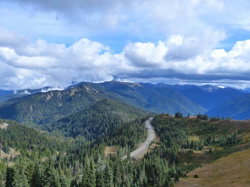 Hurricane Ridge in Olympic National Park 