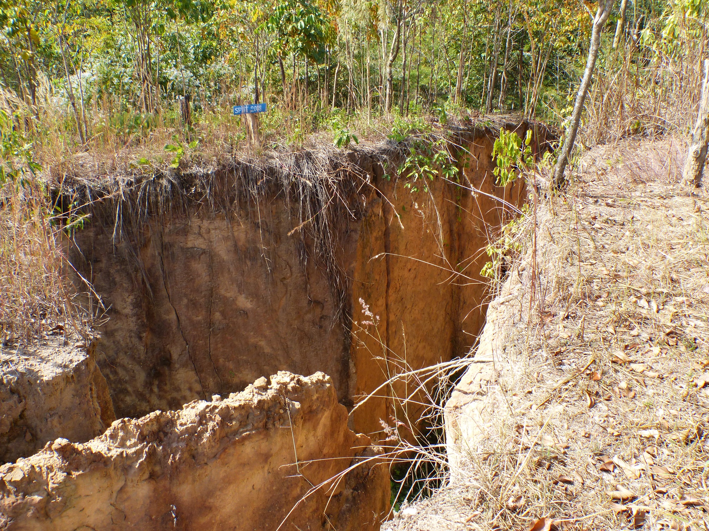 Exploring the Land Split in Pai