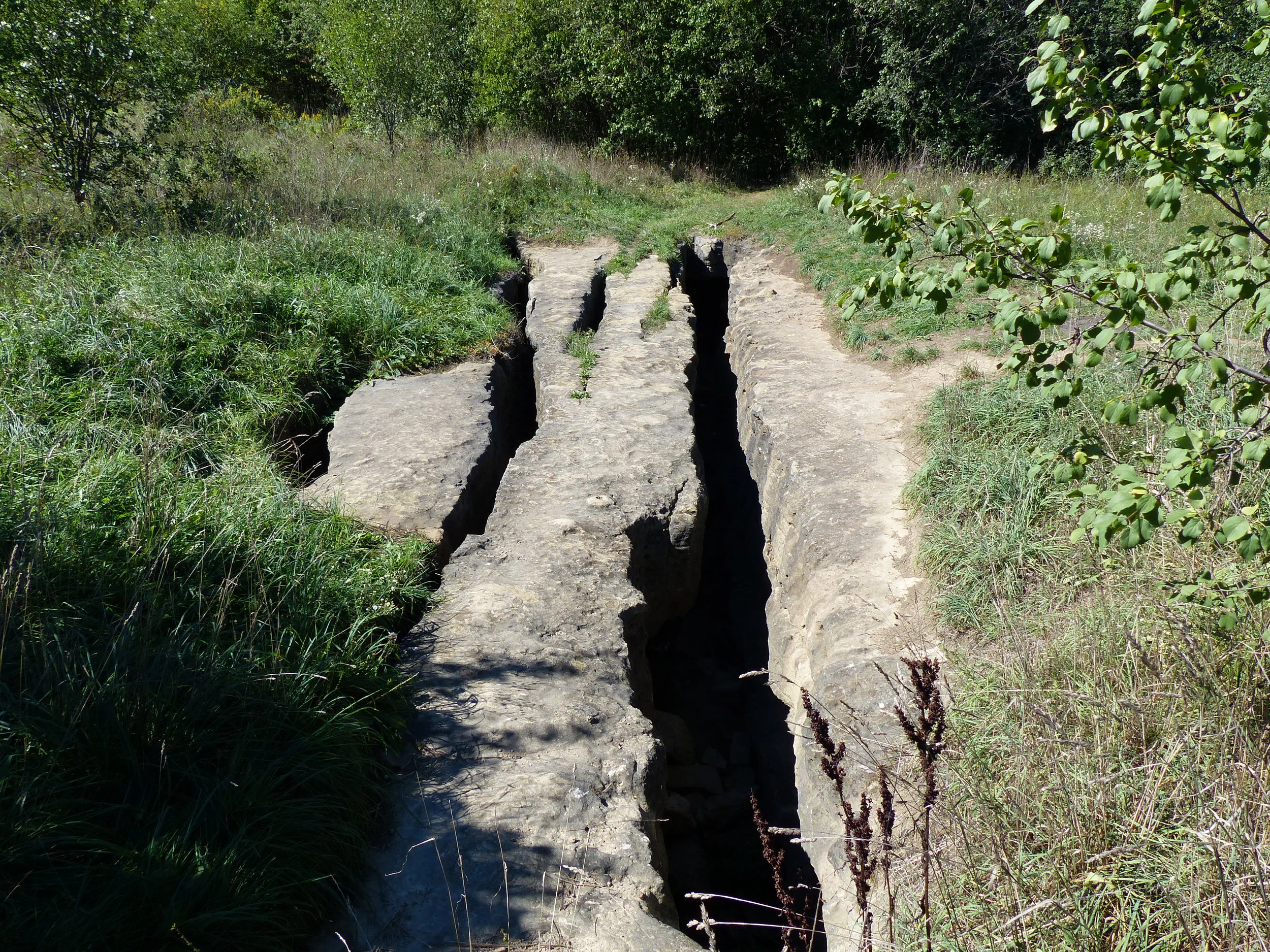 Eramosa Karst Conservation Area in Hamilton