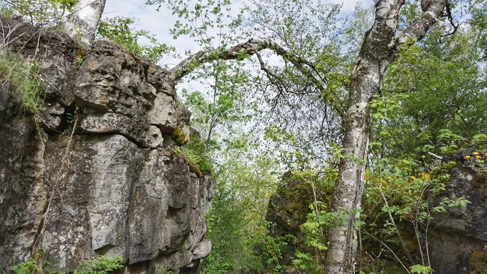 Silver Creek Conservation Area in Halton Hills