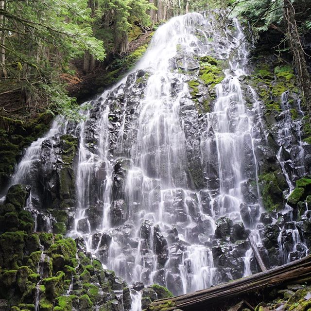 Ramona Falls in all its glory 😍#bittenescapes #instagood #travel #summer #oregon #oregonisbeautiful #oregonhikes #photooftheday #travelgram #nature #adventure #naturephotography #naturelovers #natureshots