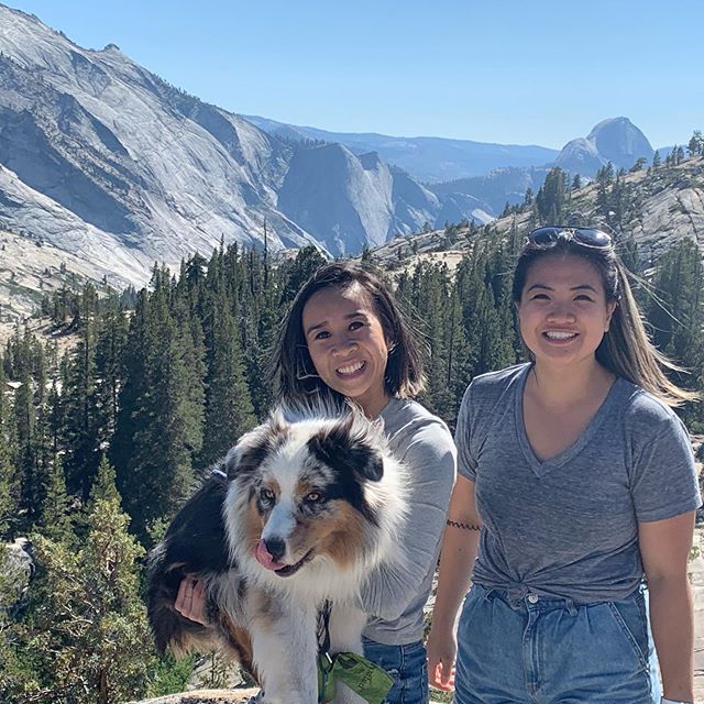 Can you spot half dome in the background?

#photooftheday #travelphotography #adventure #california #yosemitenationalpark #halfdome #aussiesofinstagram #westcoast #instapic #instagood #instadaily