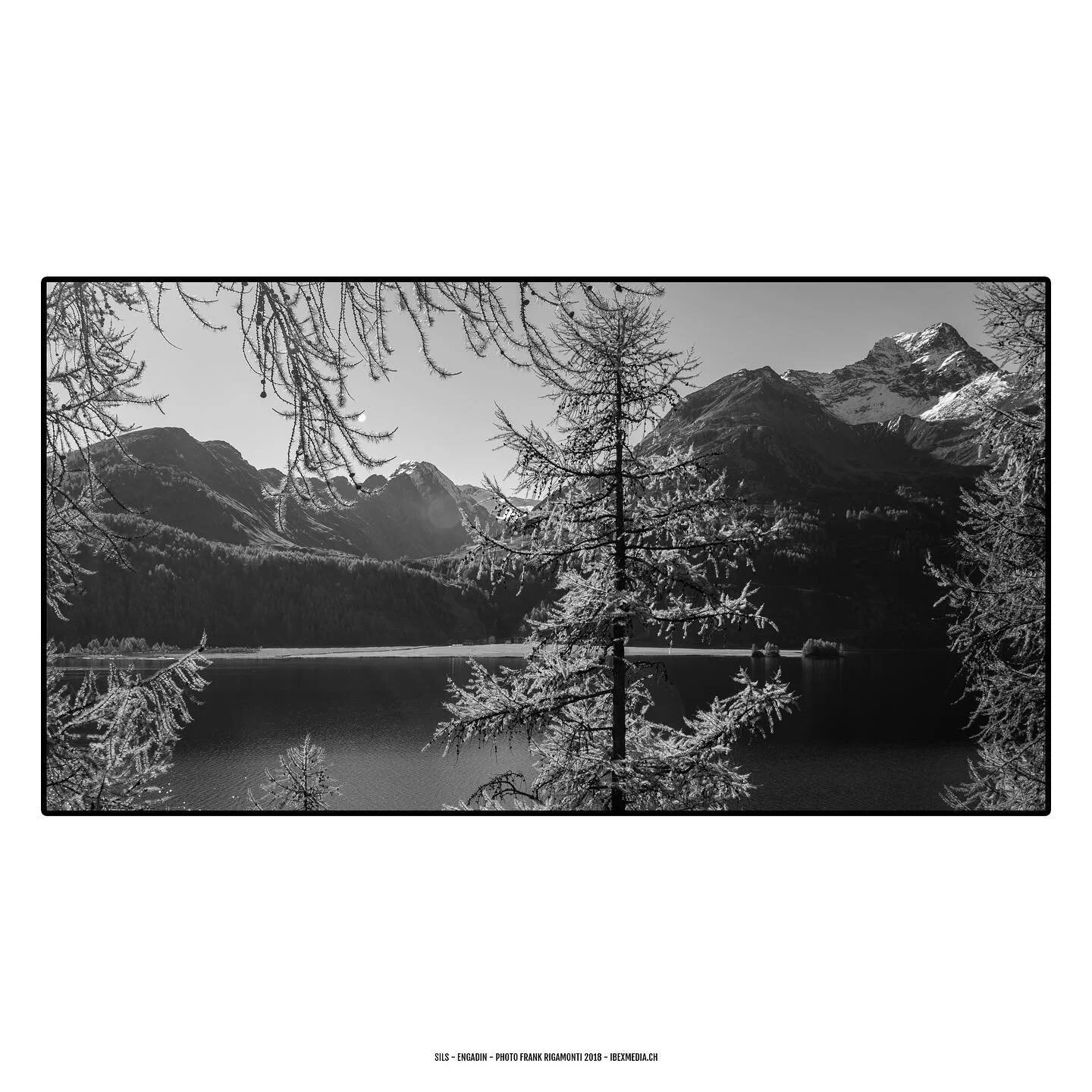 #sils #engadin #switzerland #mountains #alps #nature #blackandwhite #amazing #photography #canon