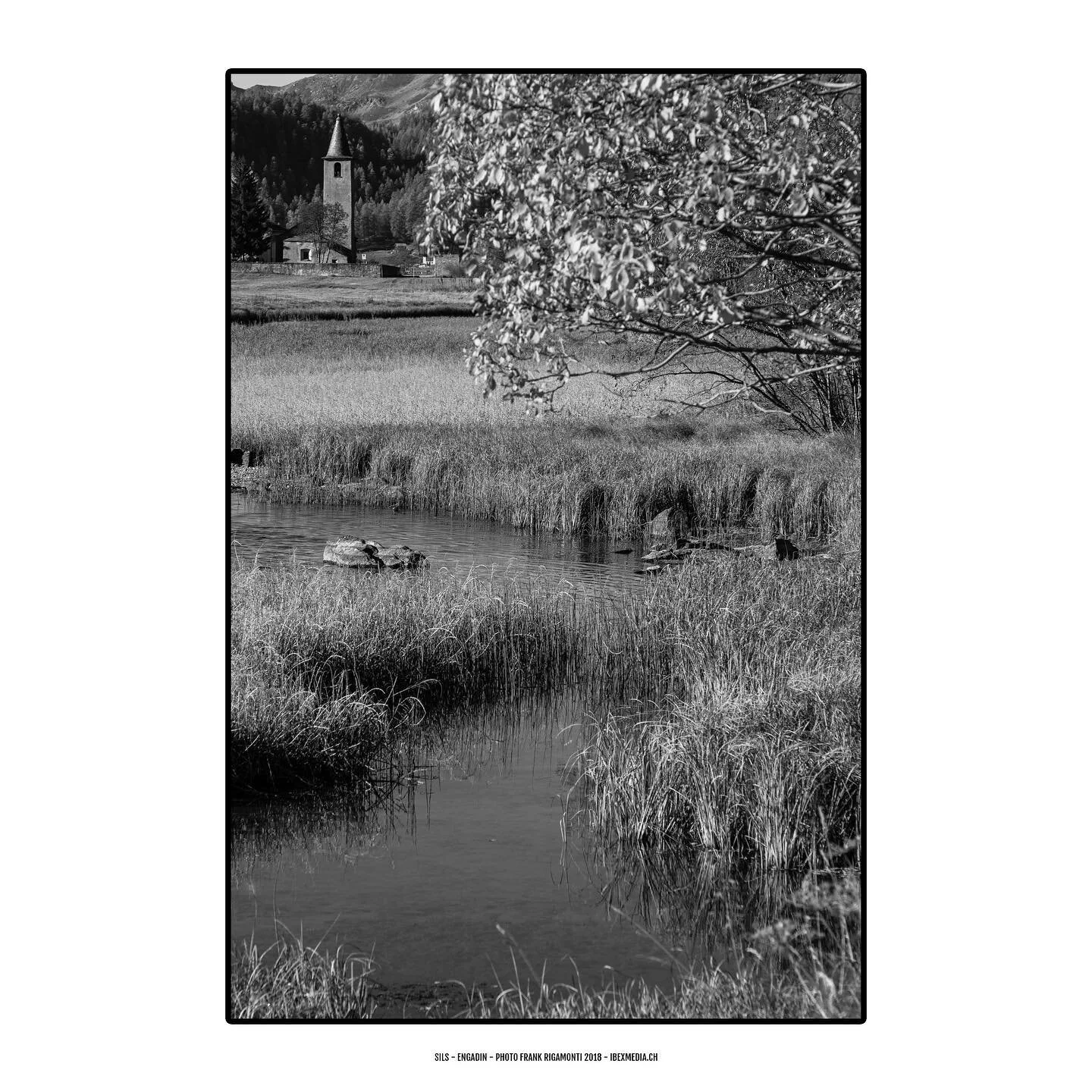 #sils #engadin #switzerland #mountains #alps #nature #blackandwhite #amazing #photography #canon