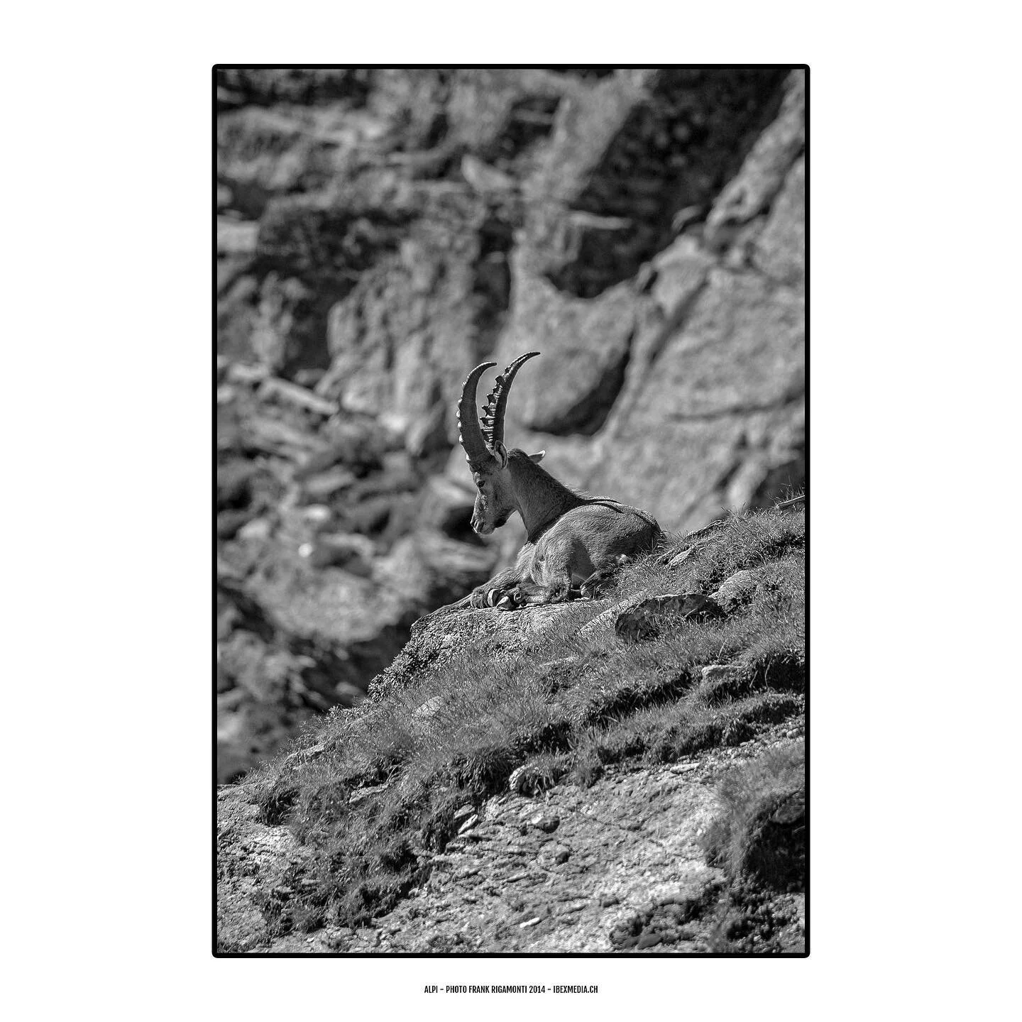 #valchiavenna #alpi #rural #blackandwhite #mountains #nature #photo #best #picture