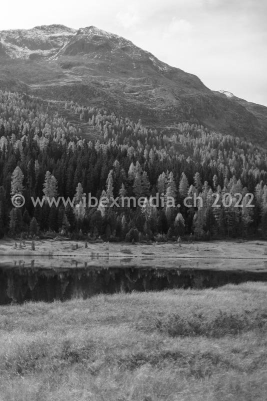 ibexmedia.ch - LAMM 01-2022 -009.jpg