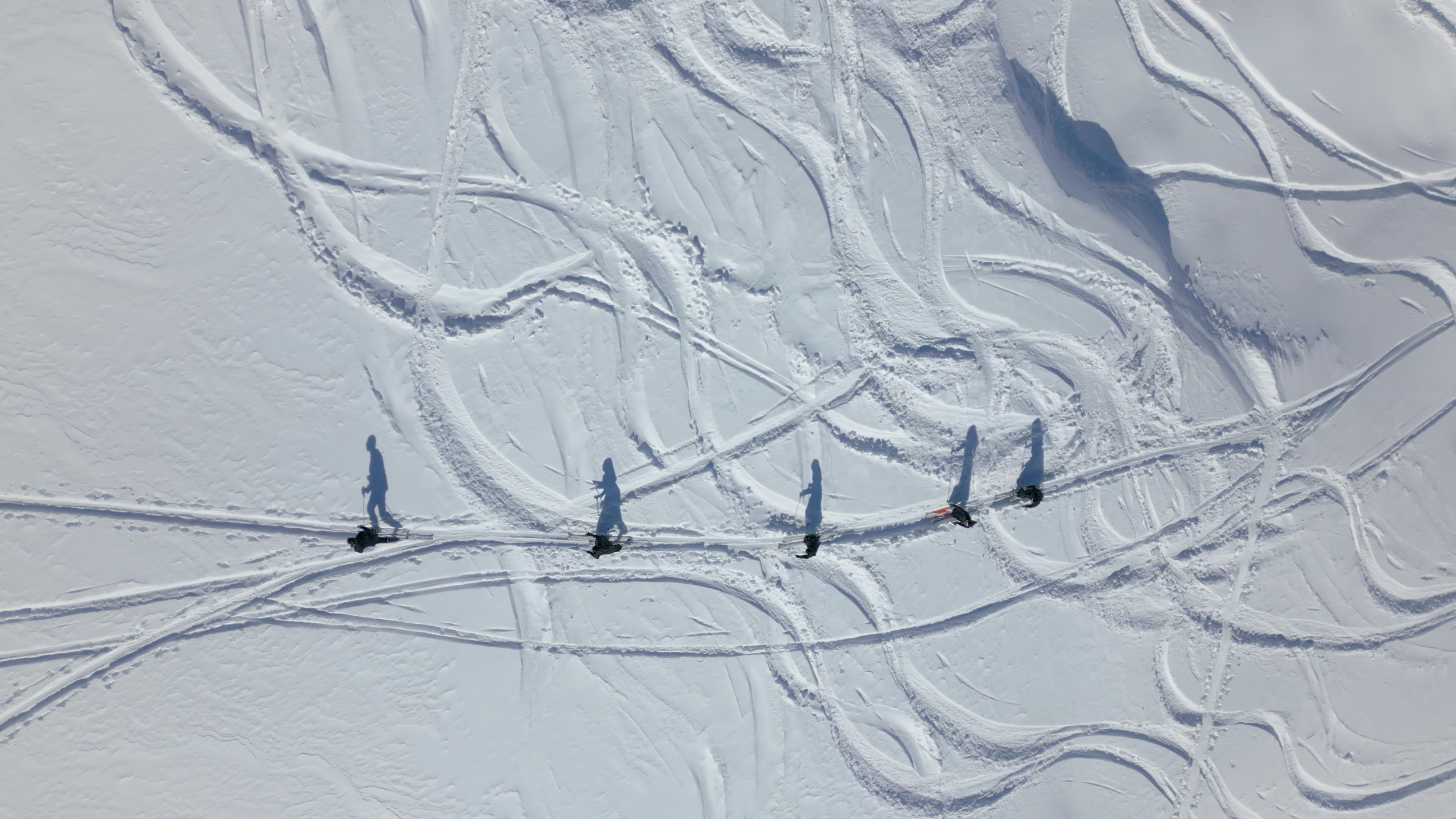 Sequence 01.00_00_26_44.Still004.png