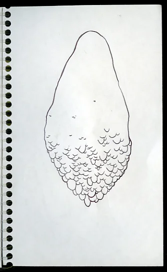 Untitled-3.jpg