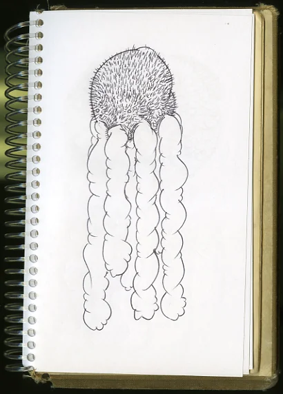 Untitled-7.jpg