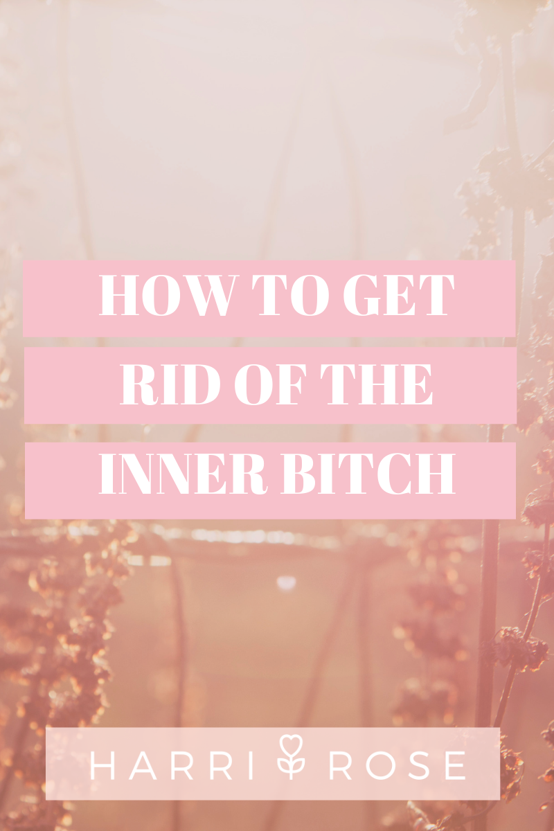 How to get rid of the inner bitch.png