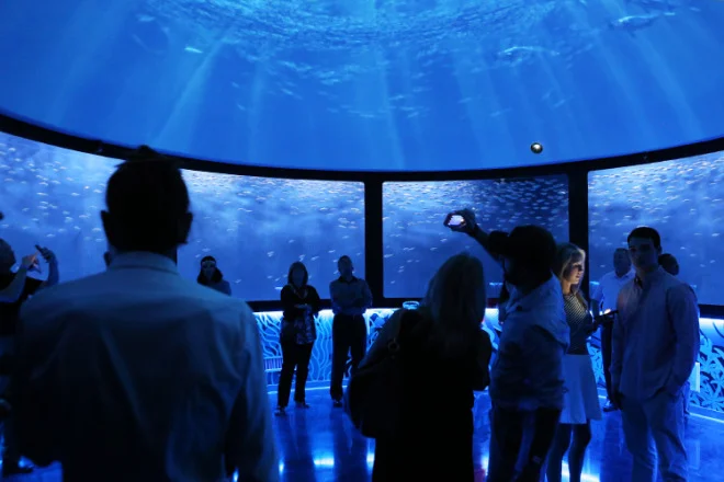 10 Best Aquariums in America