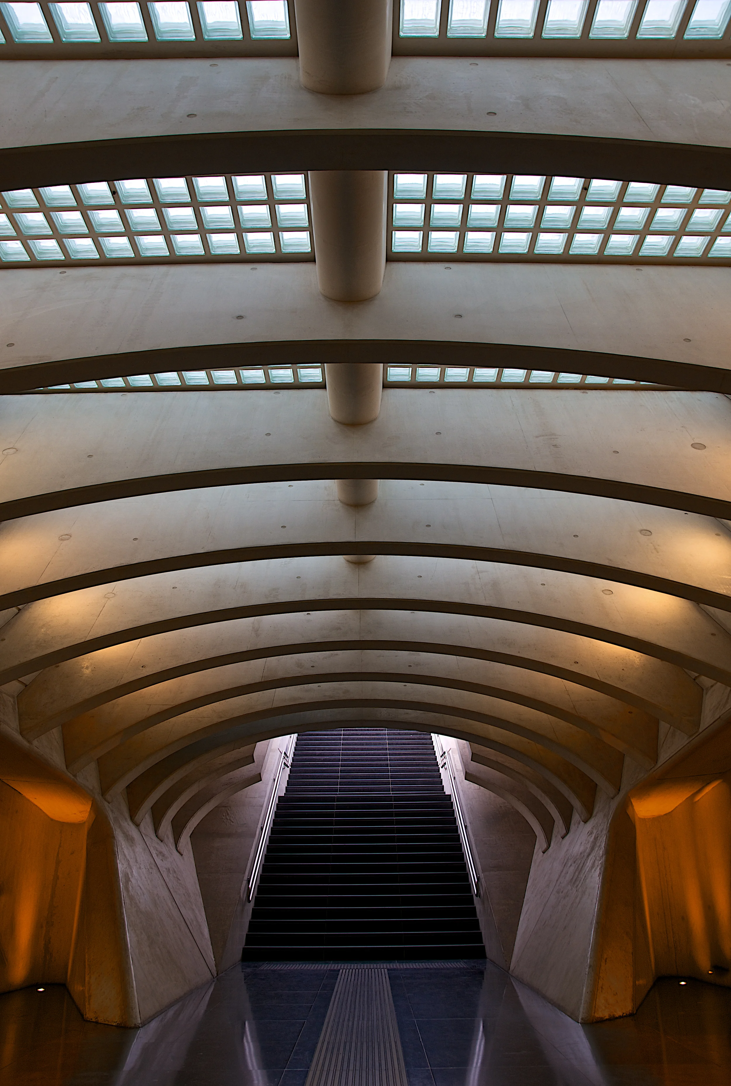 DSC_1818.jpg