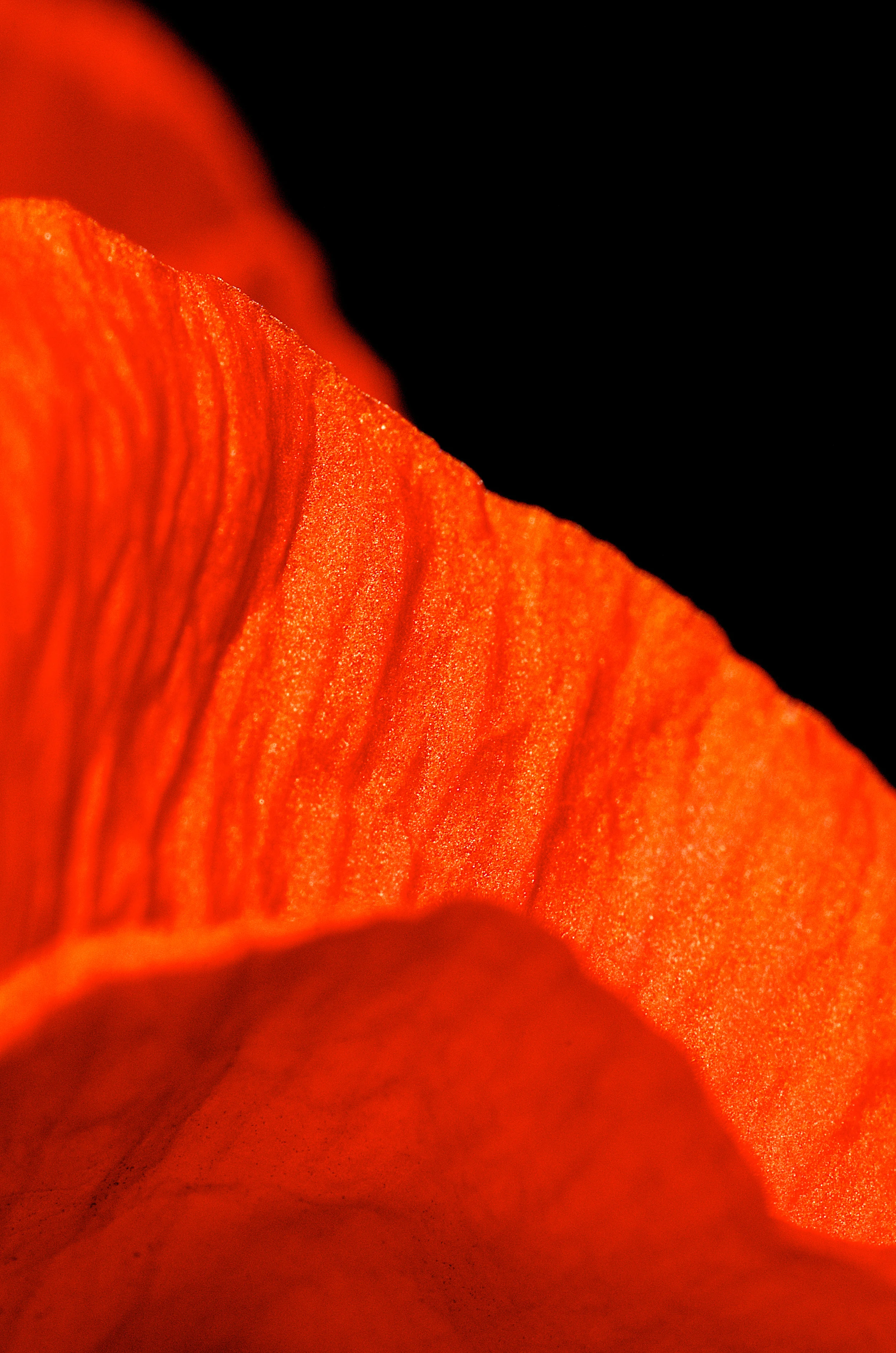 _DSC7254.jpg