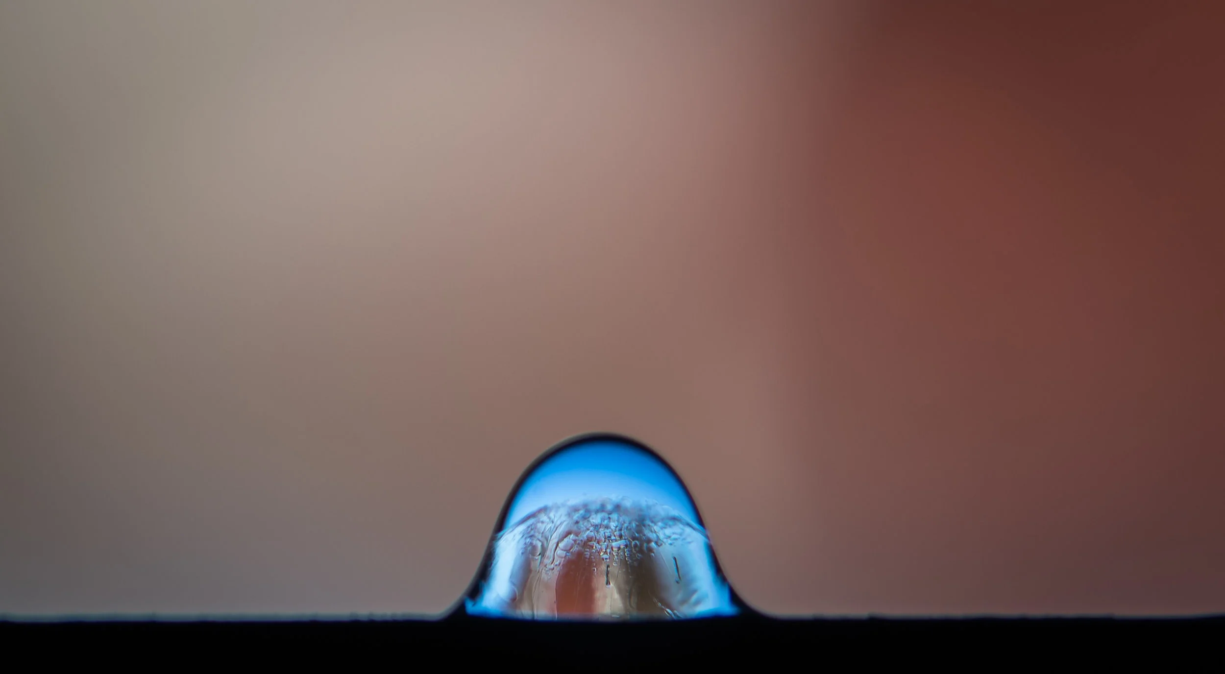 DSC_1229.jpg