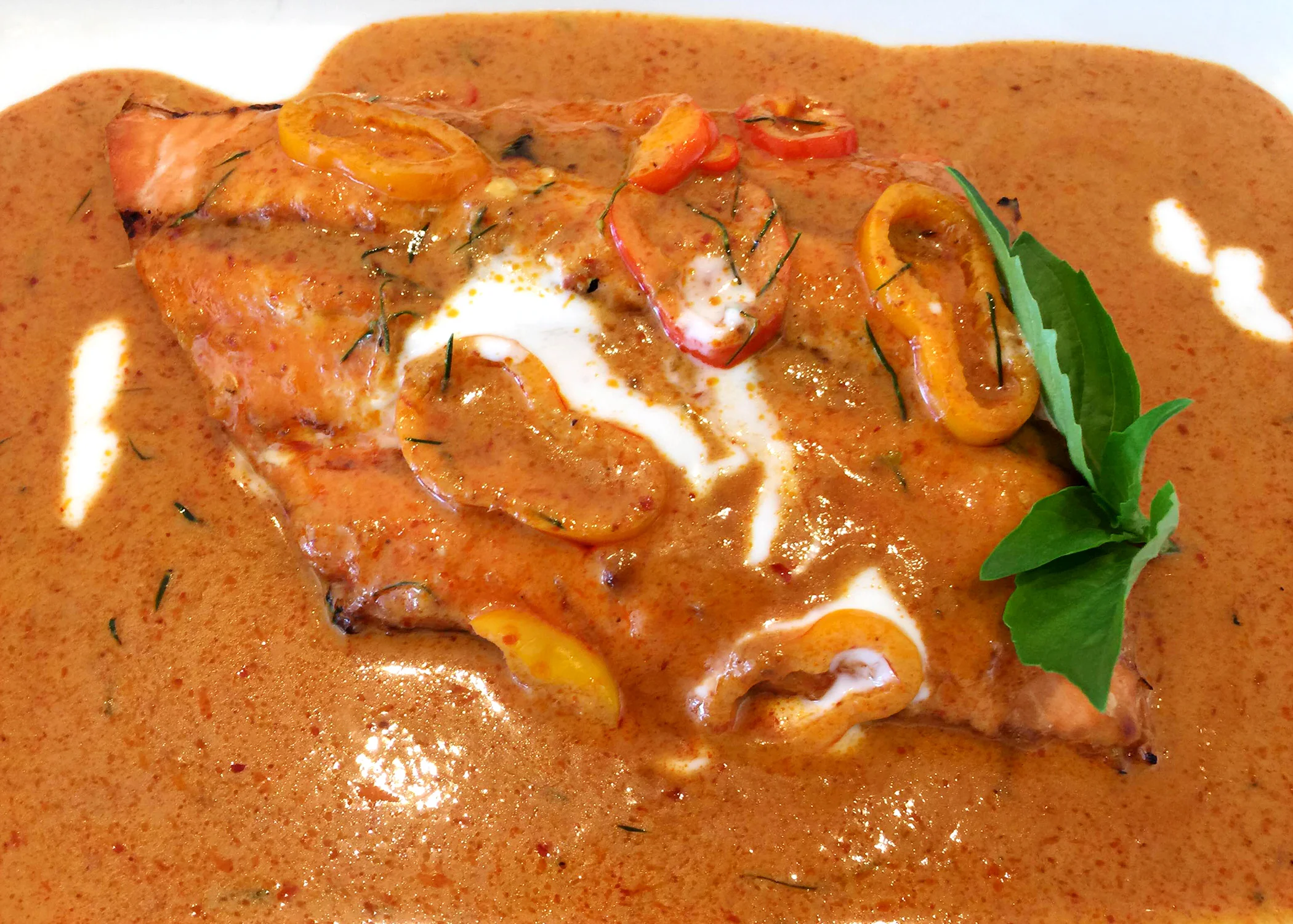 salmoncurry.jpg