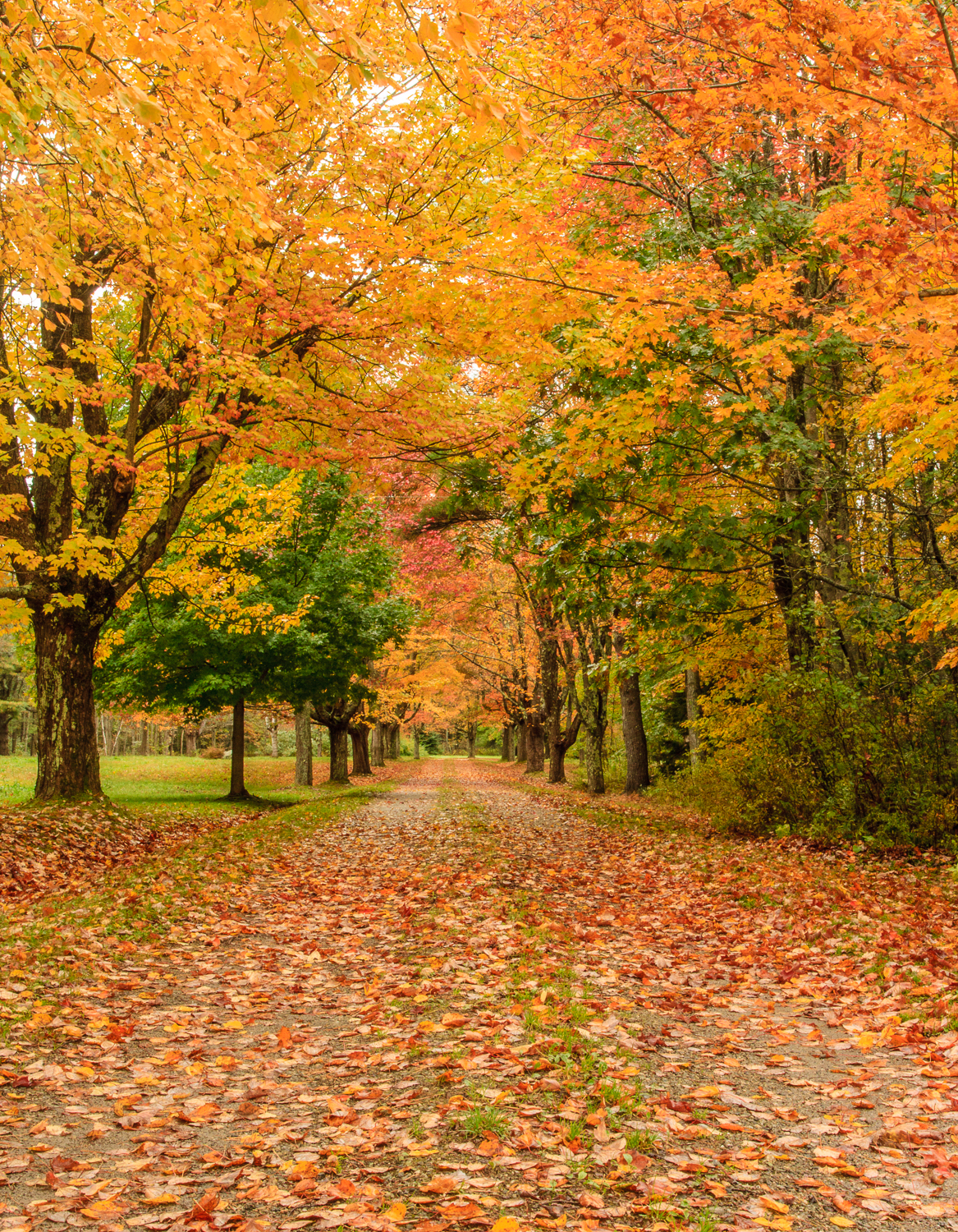Country Roads