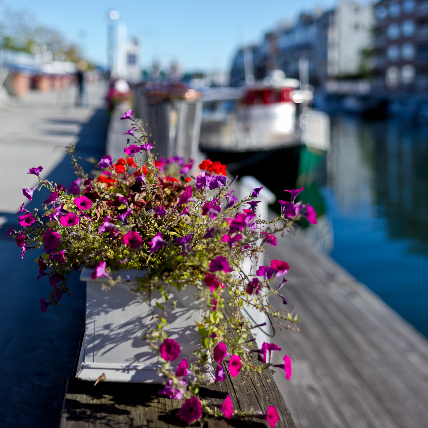 Long Wharf