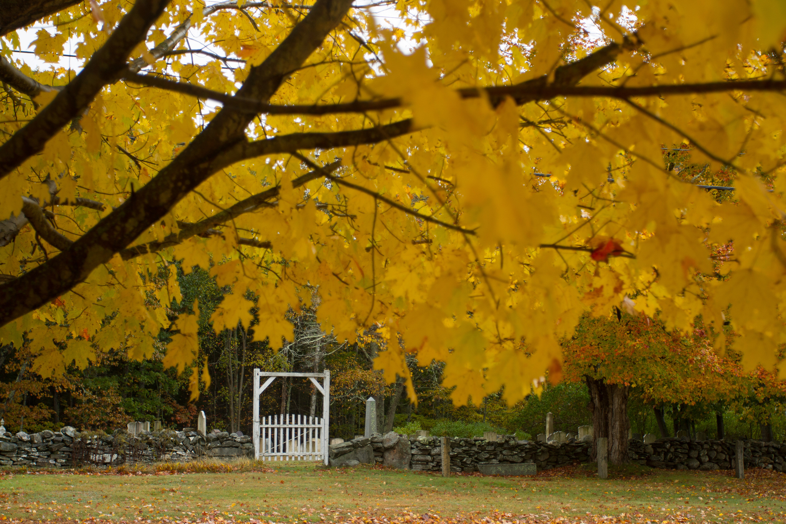 The Gate