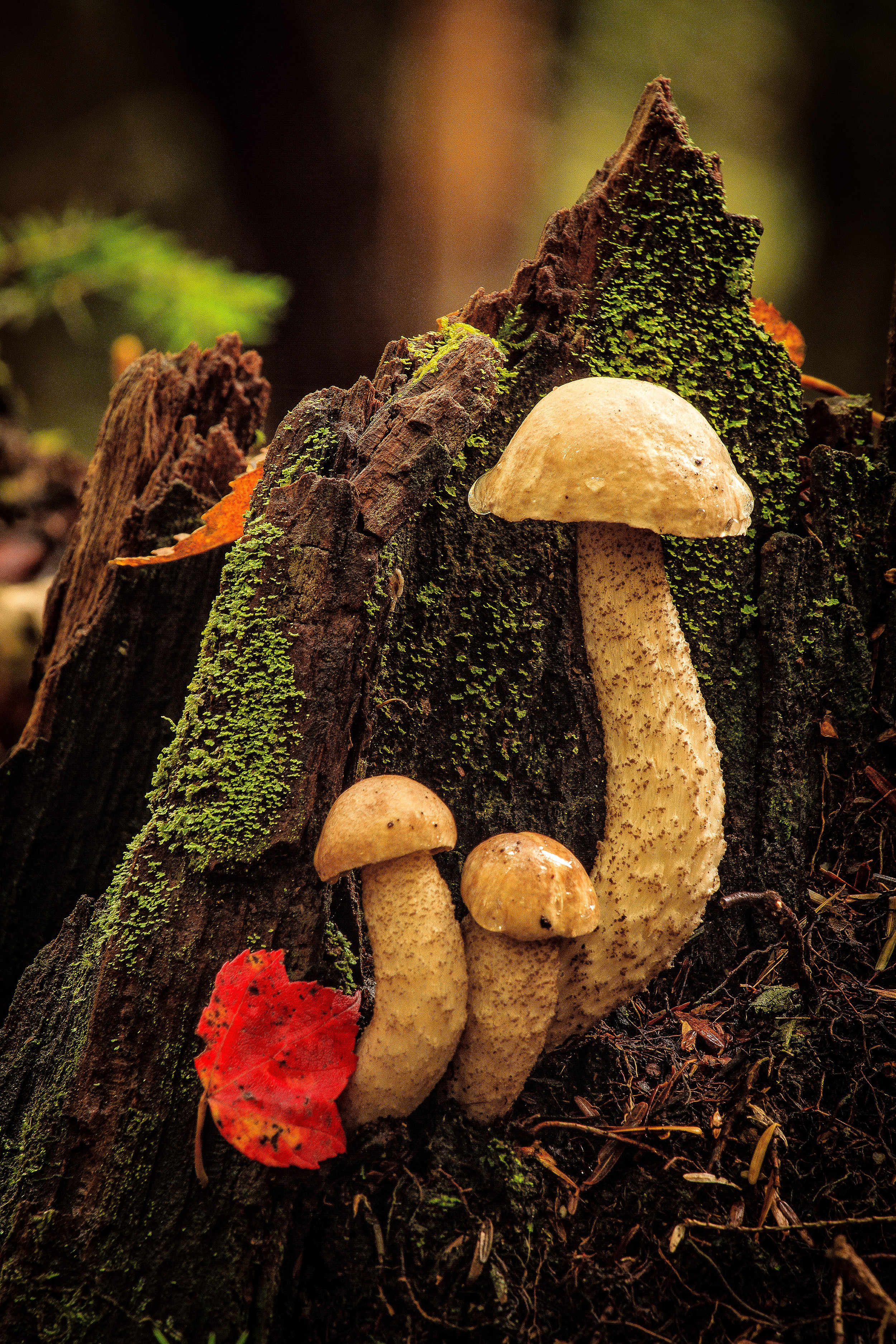 2012-Oct-01_15.21.06-Edit-2.jpg