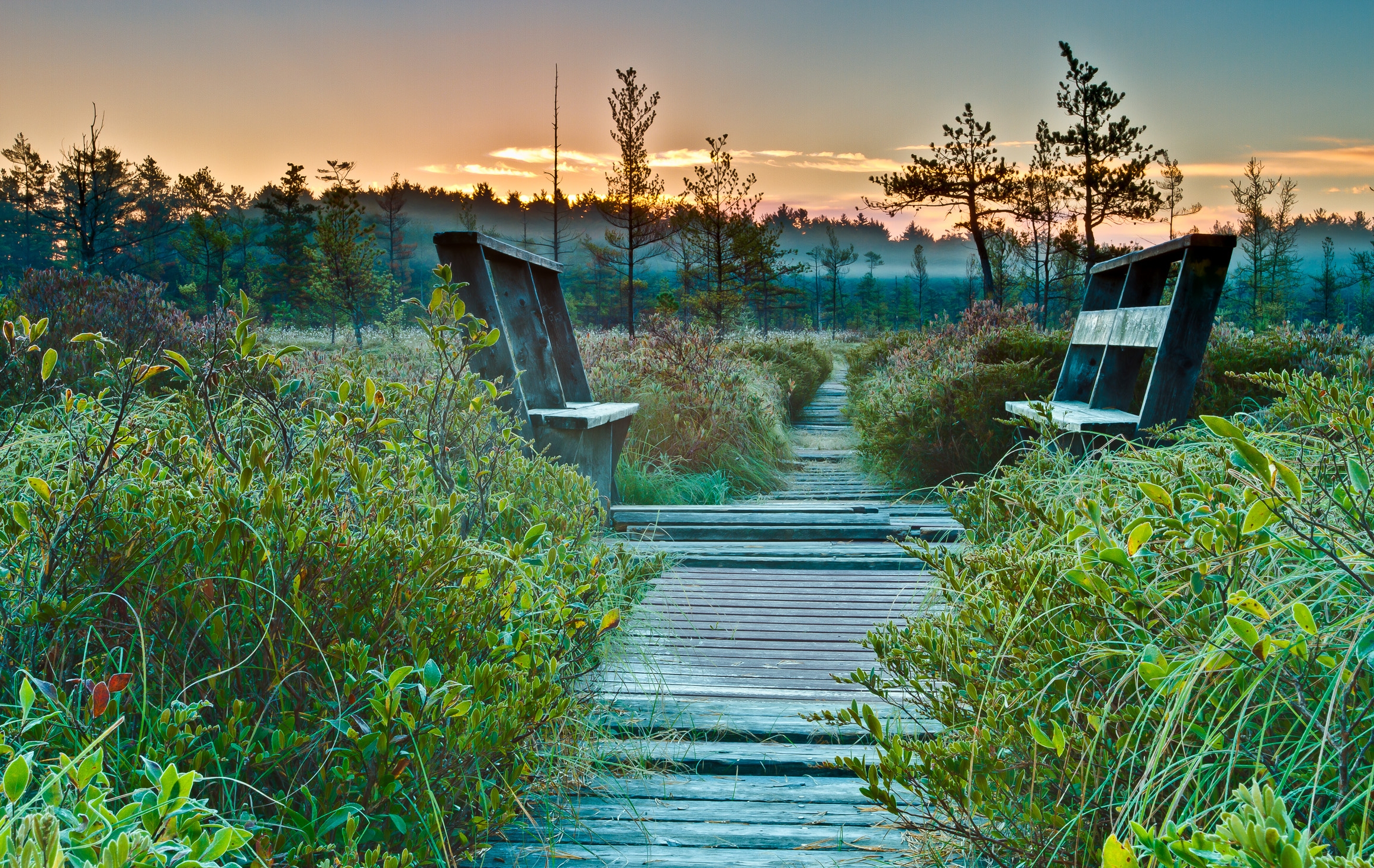 Sunrise on the Heath