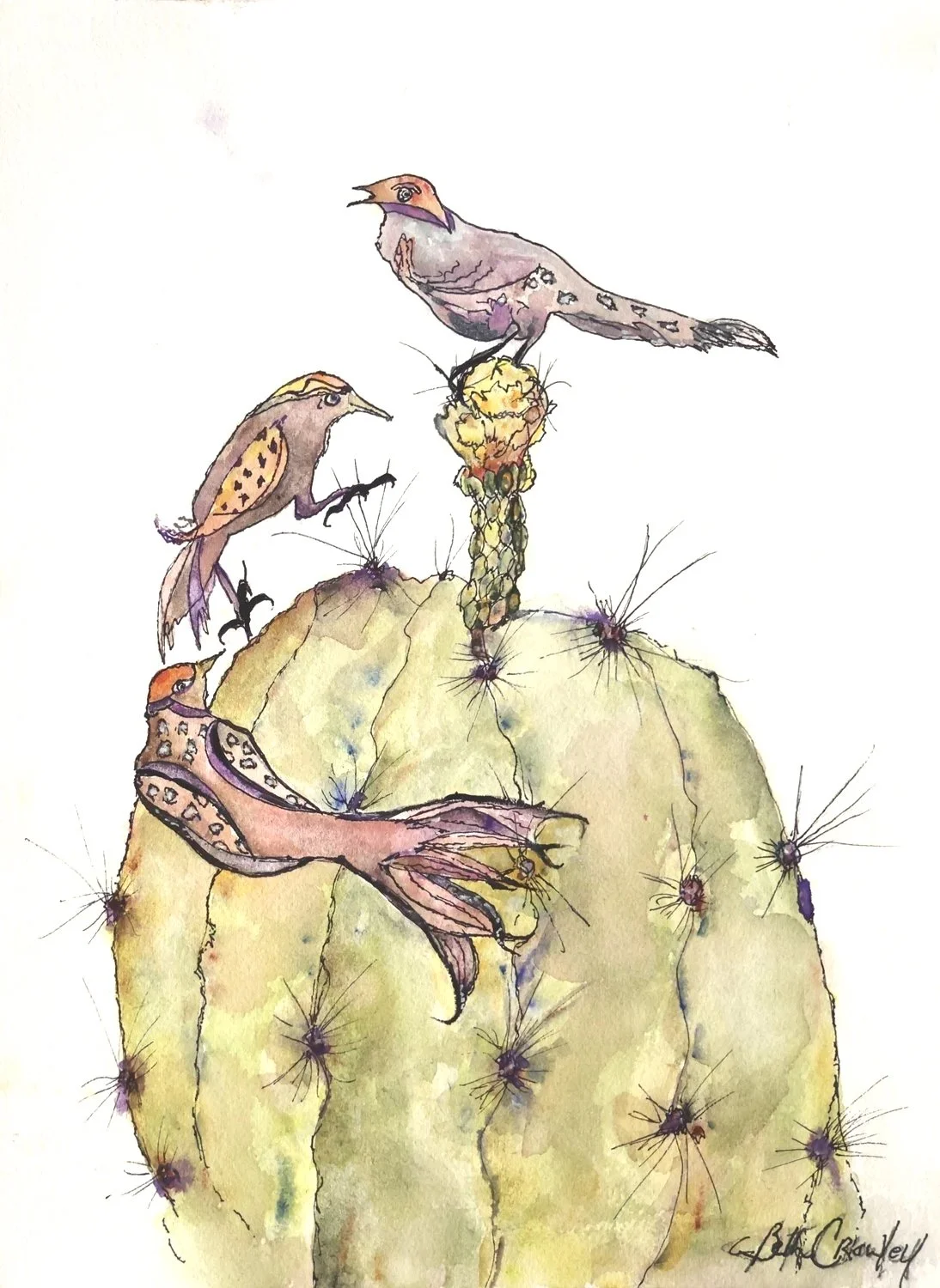 Birds+with+Attitude+1500.jpg