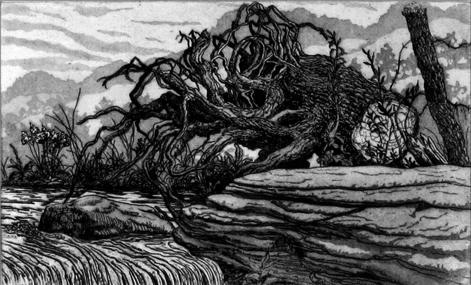 "Dam and Stump"