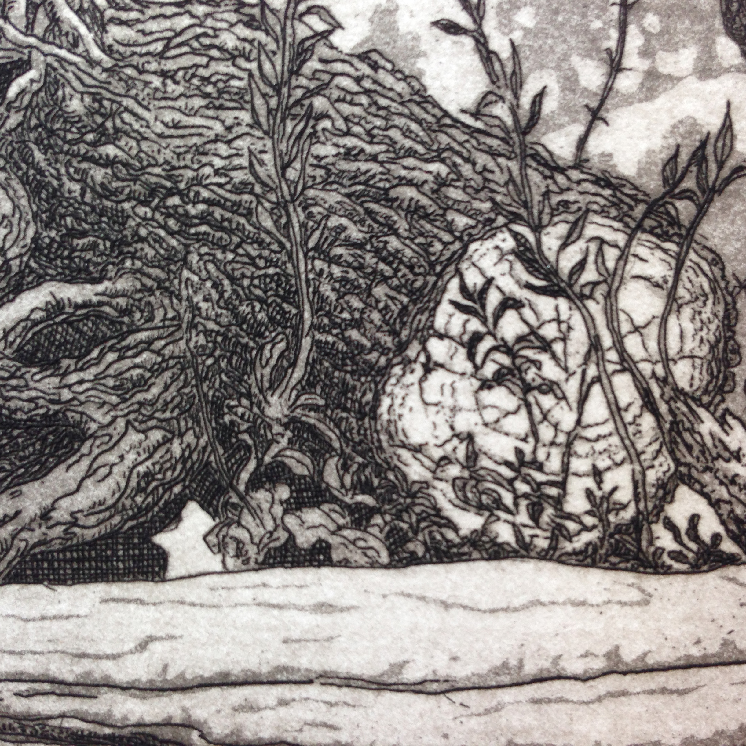 Detail of the print showing both line etching and aquatint techniques.
