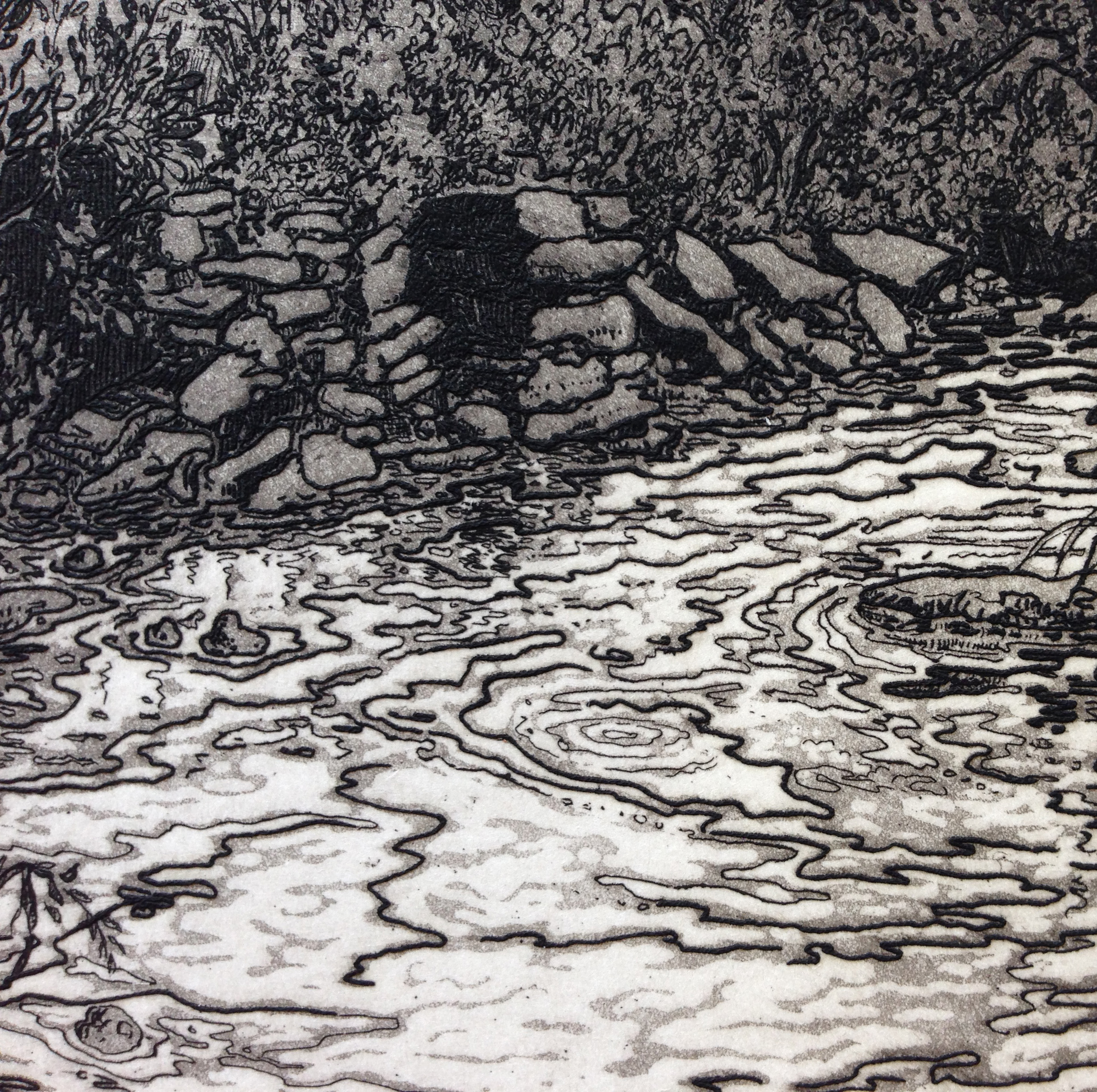 A detail from a finished print showing the line etching and aquatint work.
