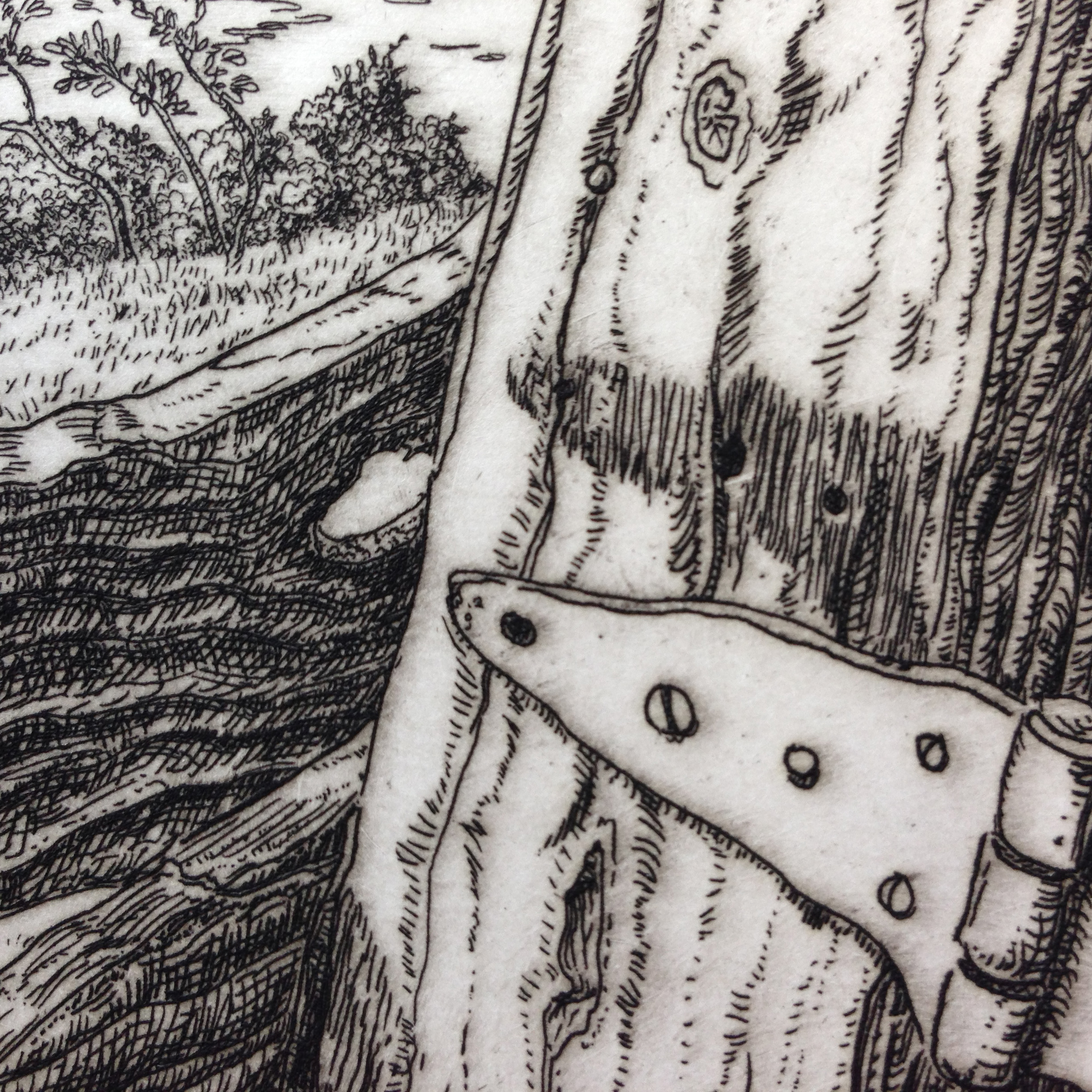 A detail from a section of "Pond" reveals lines that have been bitten in the acid for different lengths of time.
