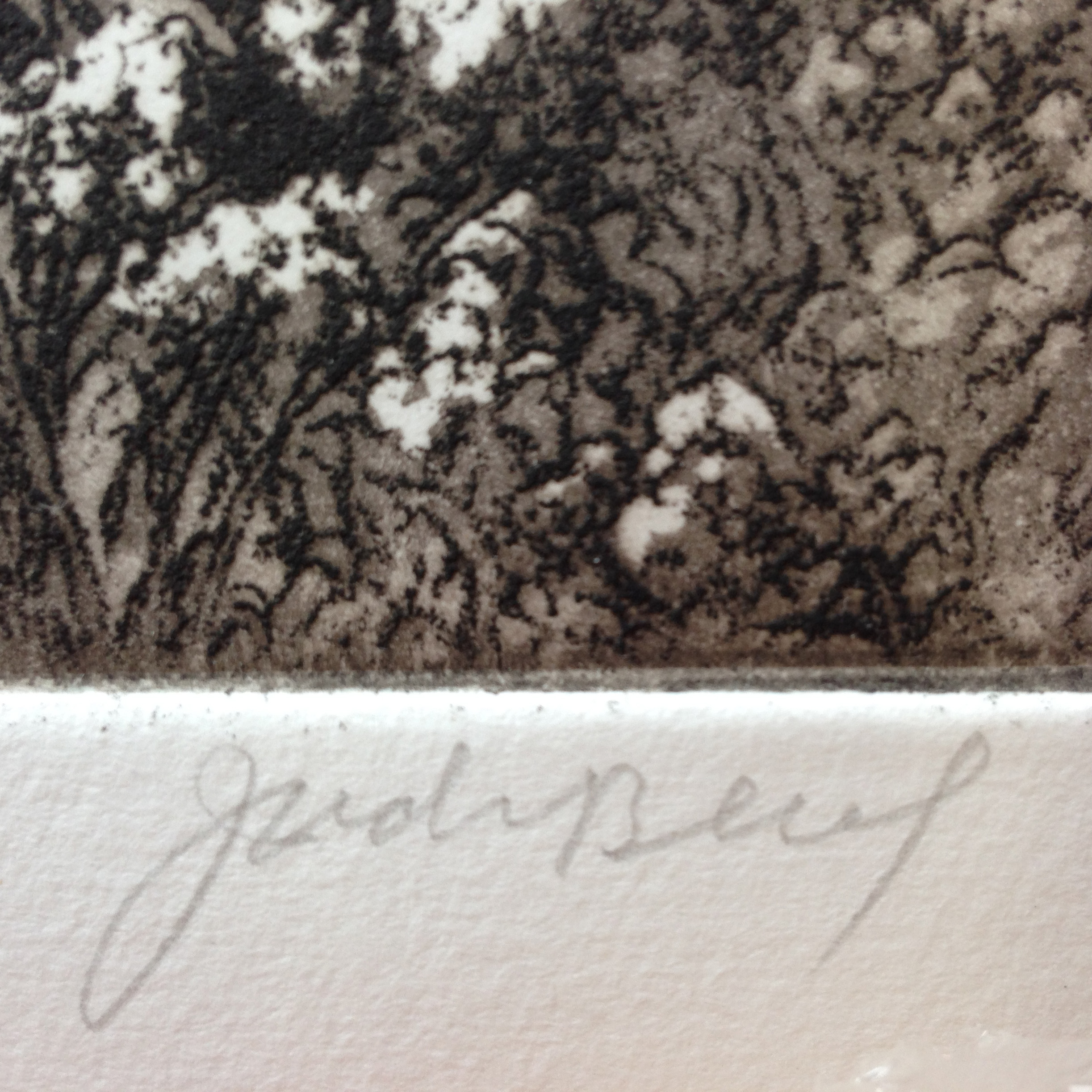 Jack's signature, lower left, and details of soft ground and aquatint.