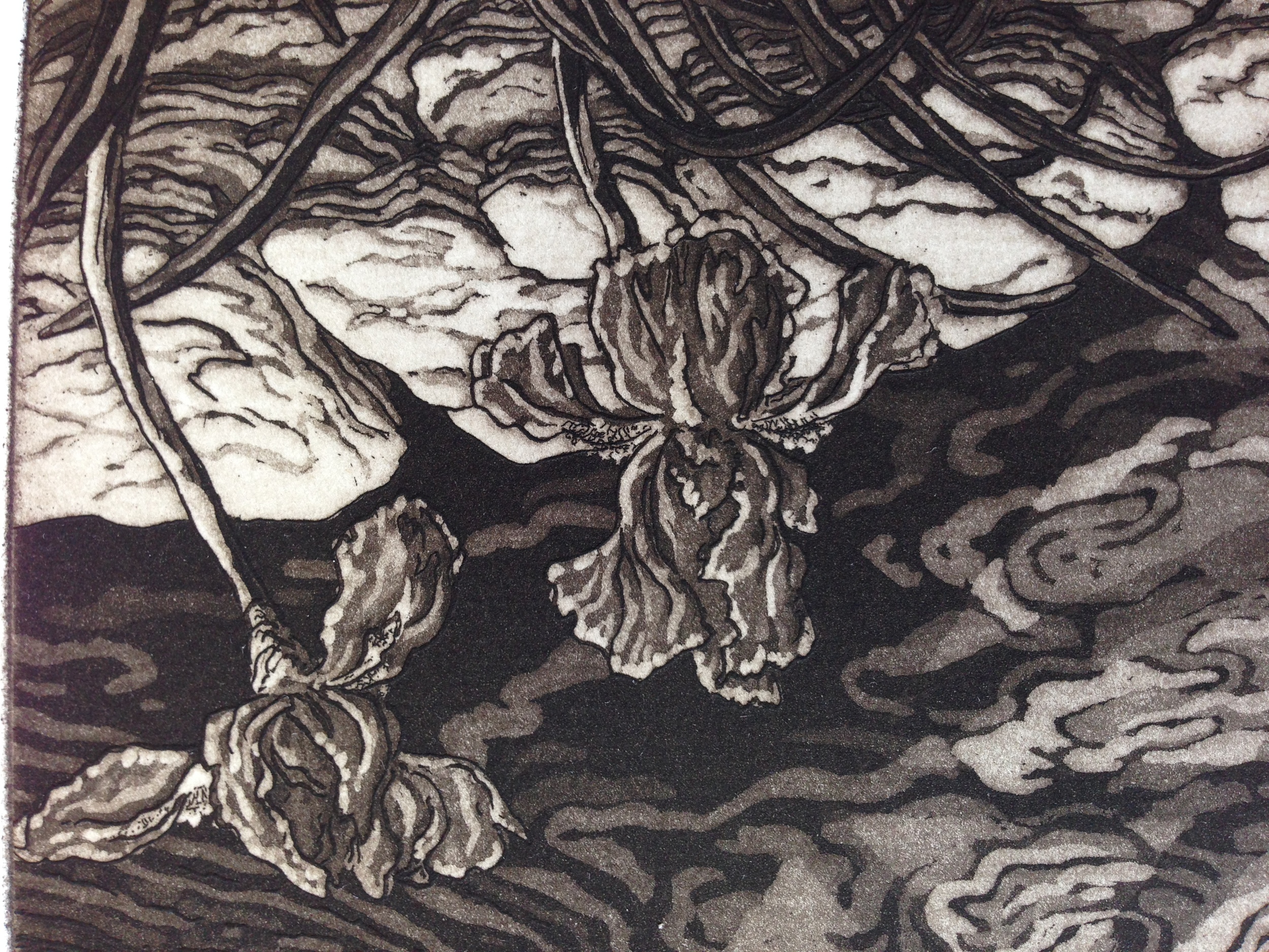 A detail shows six or seven different aquatint tones and textures. Very nice work by Jennifer Melby.