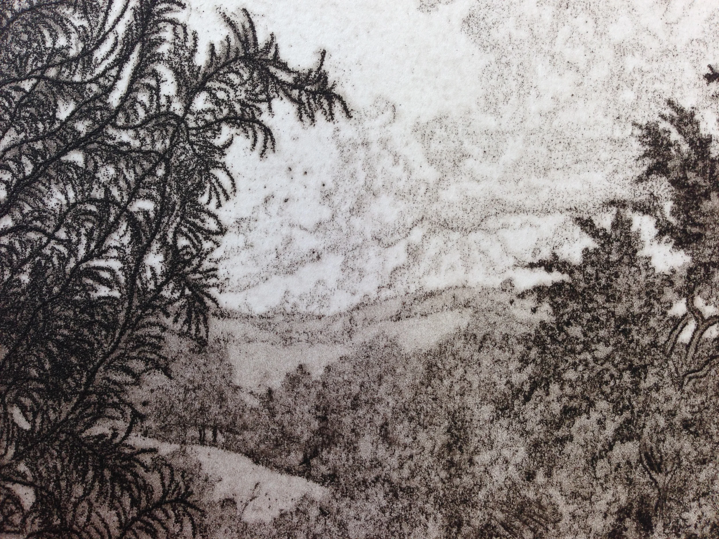 This detail from the upper right corner of the print shows Jack's use of soft ground, aquatint and line etching.