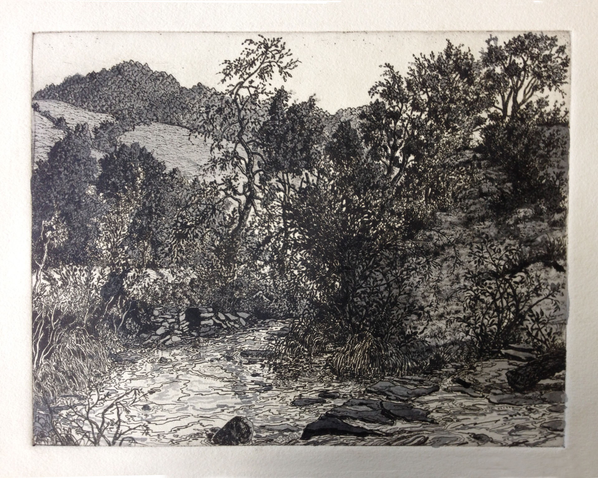 Jack has applied a wash over an early state proof, planning how he would like to see the aquatints developed.