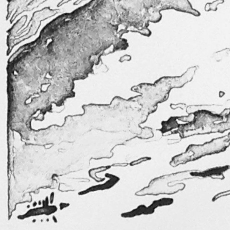 Detail from the lower left shows a wide range of tones and textures of the liquid tusche. Jack observed the processing of this stone to help make sure tones were not burned out or might fill in.