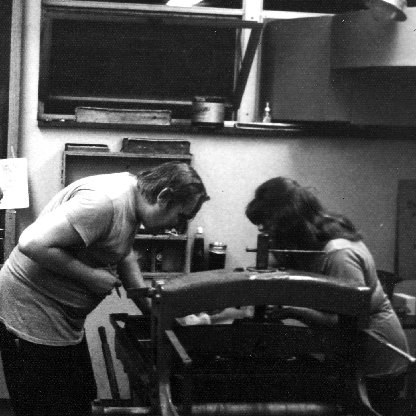"Spotted Salamander" was the last of the four stones that Jack worked on, (often with Sondra's assistance) that July and August, 1973. 