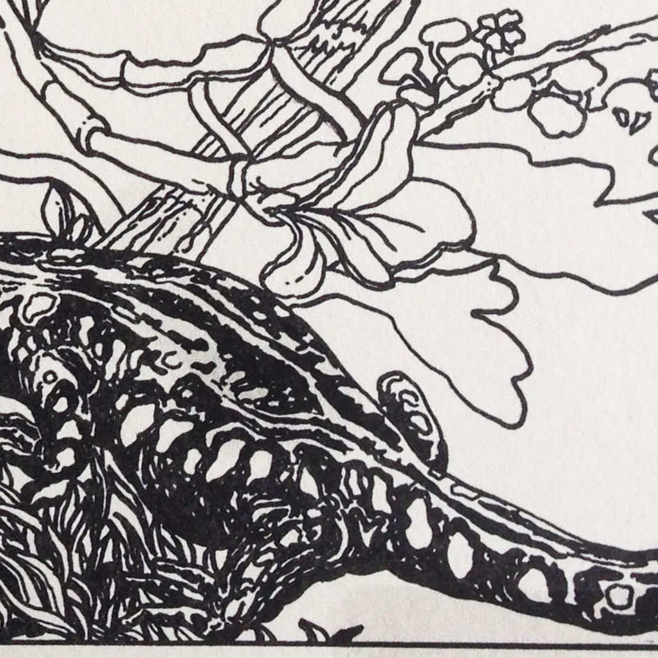 There is a reality here that is animal and plant but Jack is just as concerned with the play of pattern and shape on the two-dimensional plane of the print.
