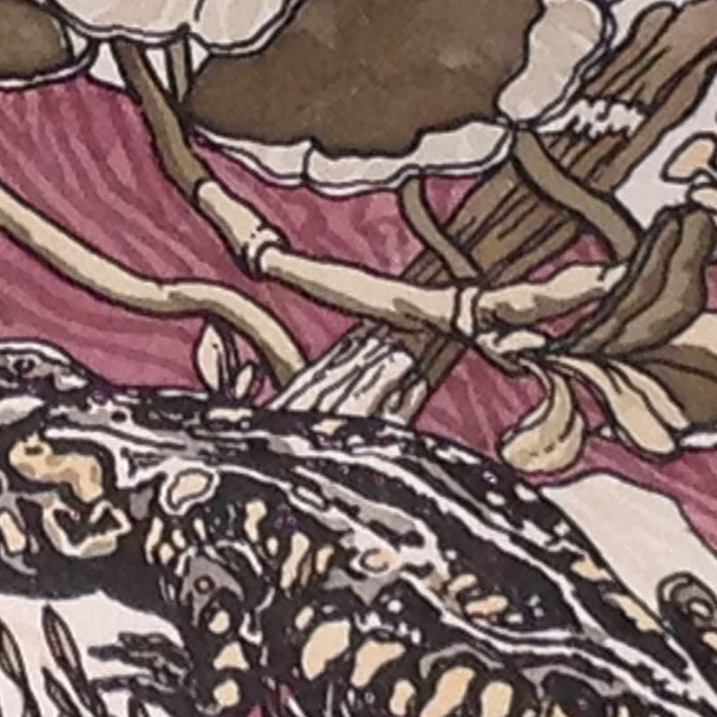 Detail of the hand-colored "Spotted Salamander" shows some new patterns and forms not seen in the uncolored version of this print.