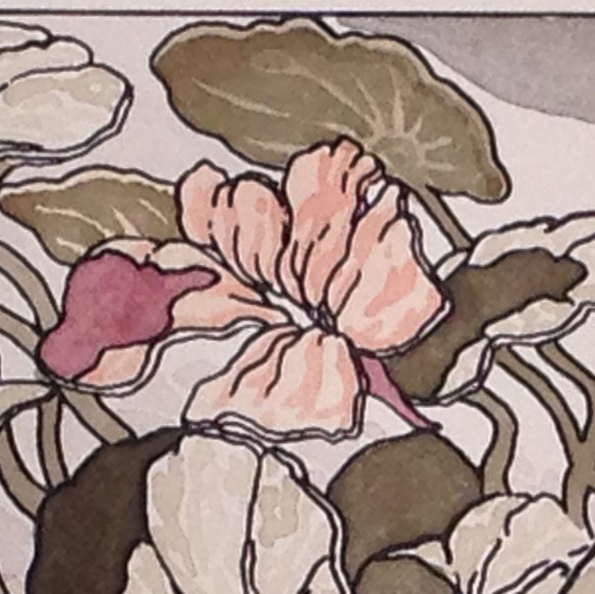 This detail of the hand-colored version of the print reveals softer edged forms and more subtle patterns.