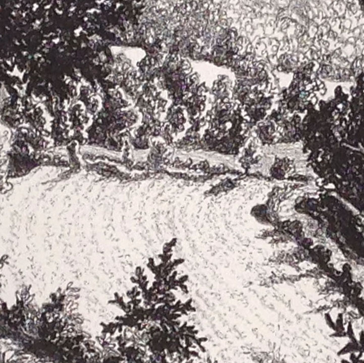 A detail from the print reveals Jack's ability to get a full range of tones from a hard litho crayon