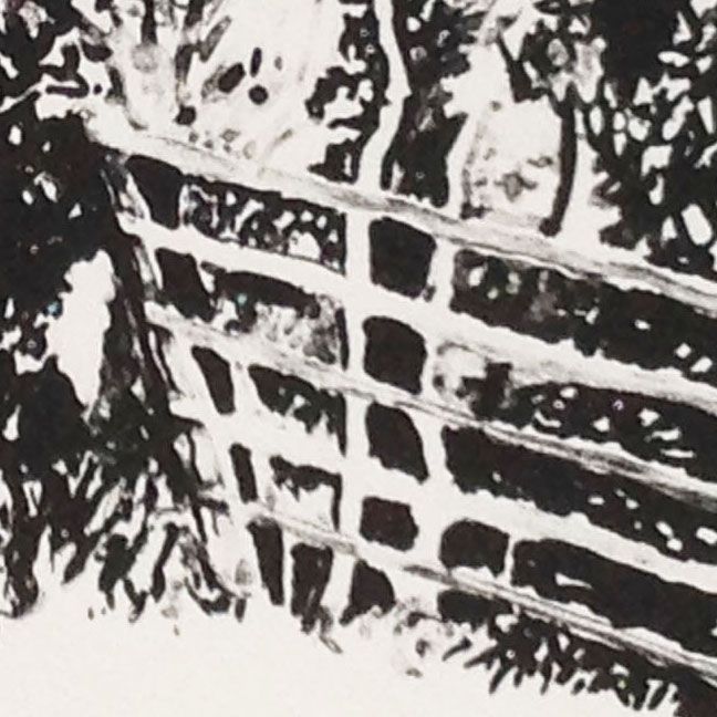 Jack worked with liquid tusche diluted in water and a moderately hard litho crayon for structural support.