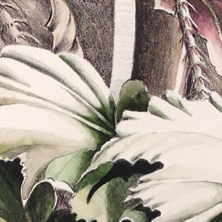  Color can add something special to an already strong print.