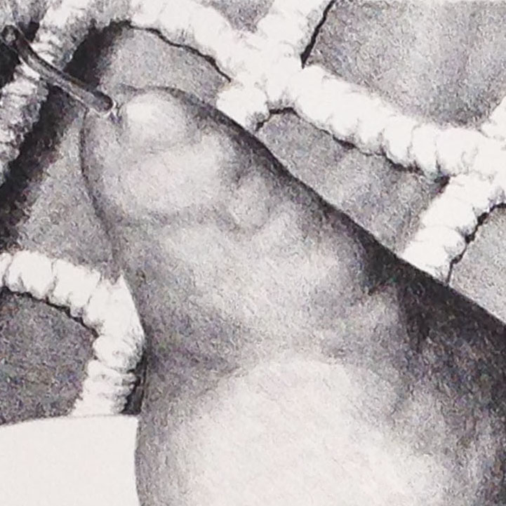 A very healthy, natural object, carefully rendered with Korn's number five lithographic crayon. Nicer stem.