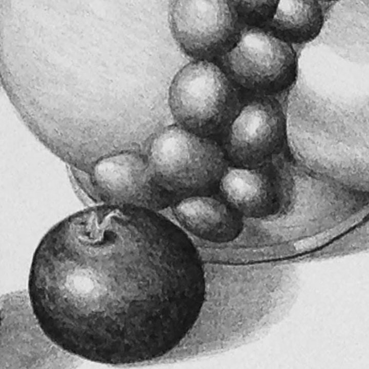 This print is about the act of observing closely. Looking for subtle and not-so-subtle differences.