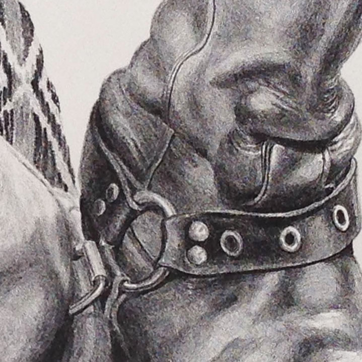 Leather boot. Careful observation.