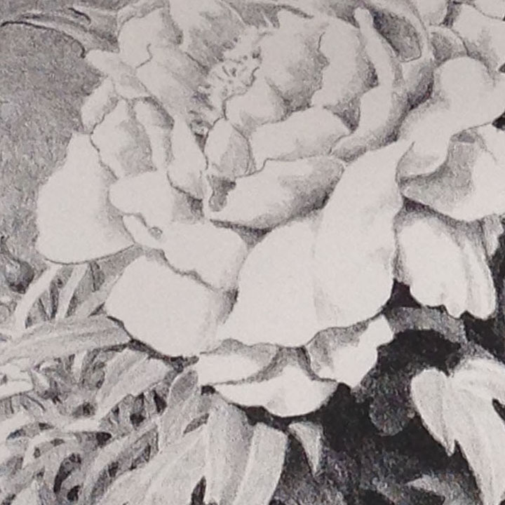 A detail of one of the big peonies in the foreground of the print. The limestone had been grained with #180 grit carborundum to provide a slightly coarse drawing surface.